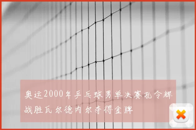 奥运2000年乒乓球男单决赛孔令辉战胜瓦尔德内尔夺得金牌