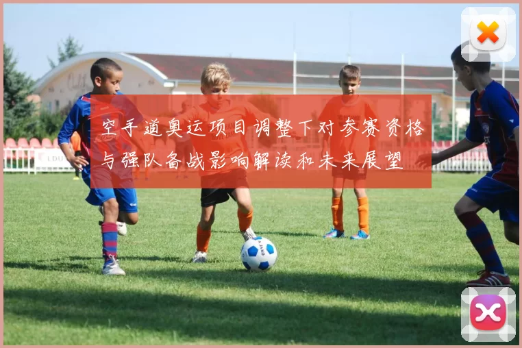 空手道奥运项目调整下对参赛资格与强队备战影响解读和未来展望