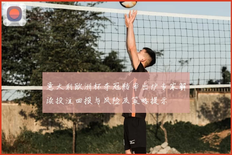 意大利欧洲杯夺冠赔率出炉专家解读投注回报与风险及策略提示