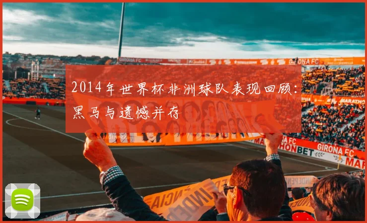 2014年世界杯非洲球队表现回顾:黑马与遗憾并存